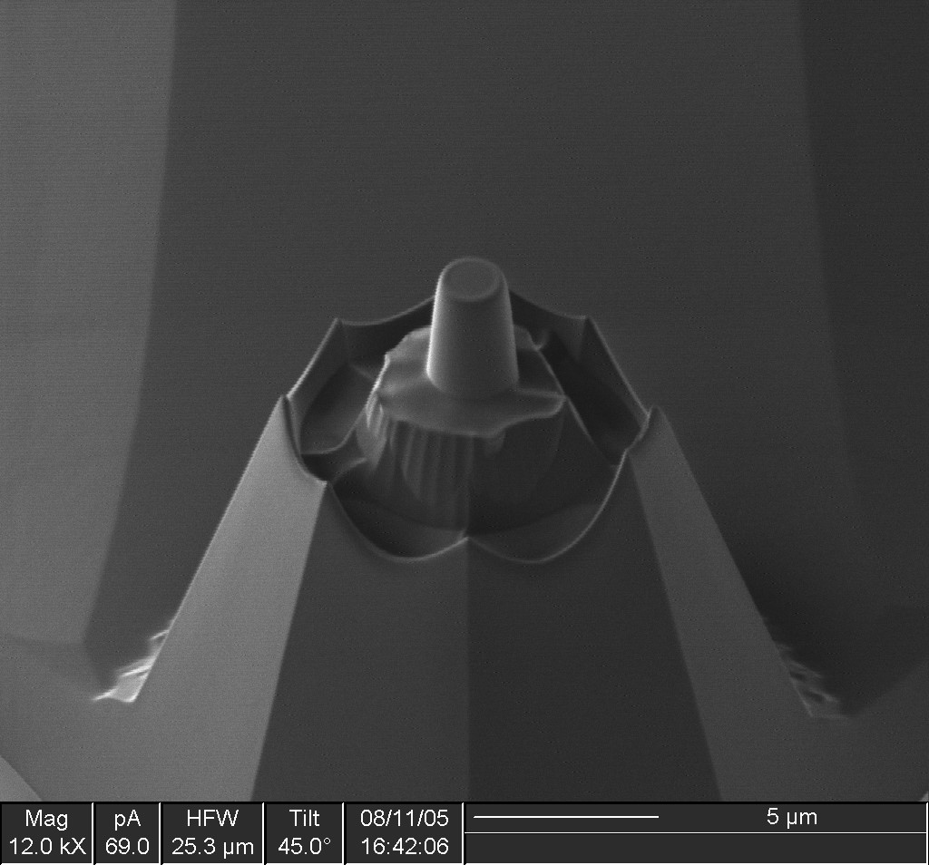 Plateau AFM tip NANOSENSORS™ Special Developments List (SDL)